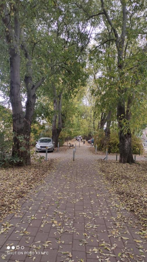 Apartmani Trivunov -Studio 1 - Ferienwohnung Peterwardein