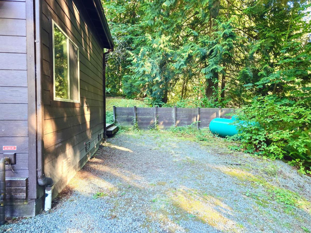 Off-grid Cabin 1, Nature Retreat, Waterfall+Trails - Bed and Breakfast Mount Vernon