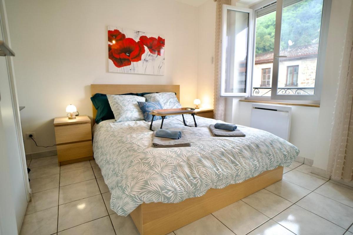 Le Palmier, A cozy haven in Petite Rome - Bed and Breakfast Vienne