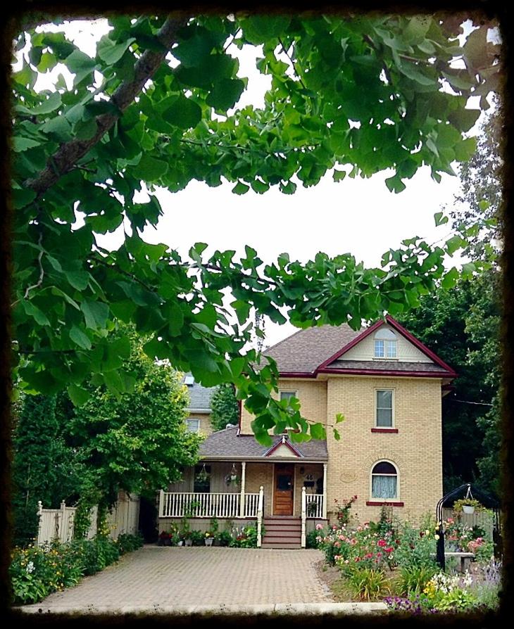 B&B Stratford - Tranquil Days Guest House ---- Arbour Garden - Bed and Breakfast Stratford