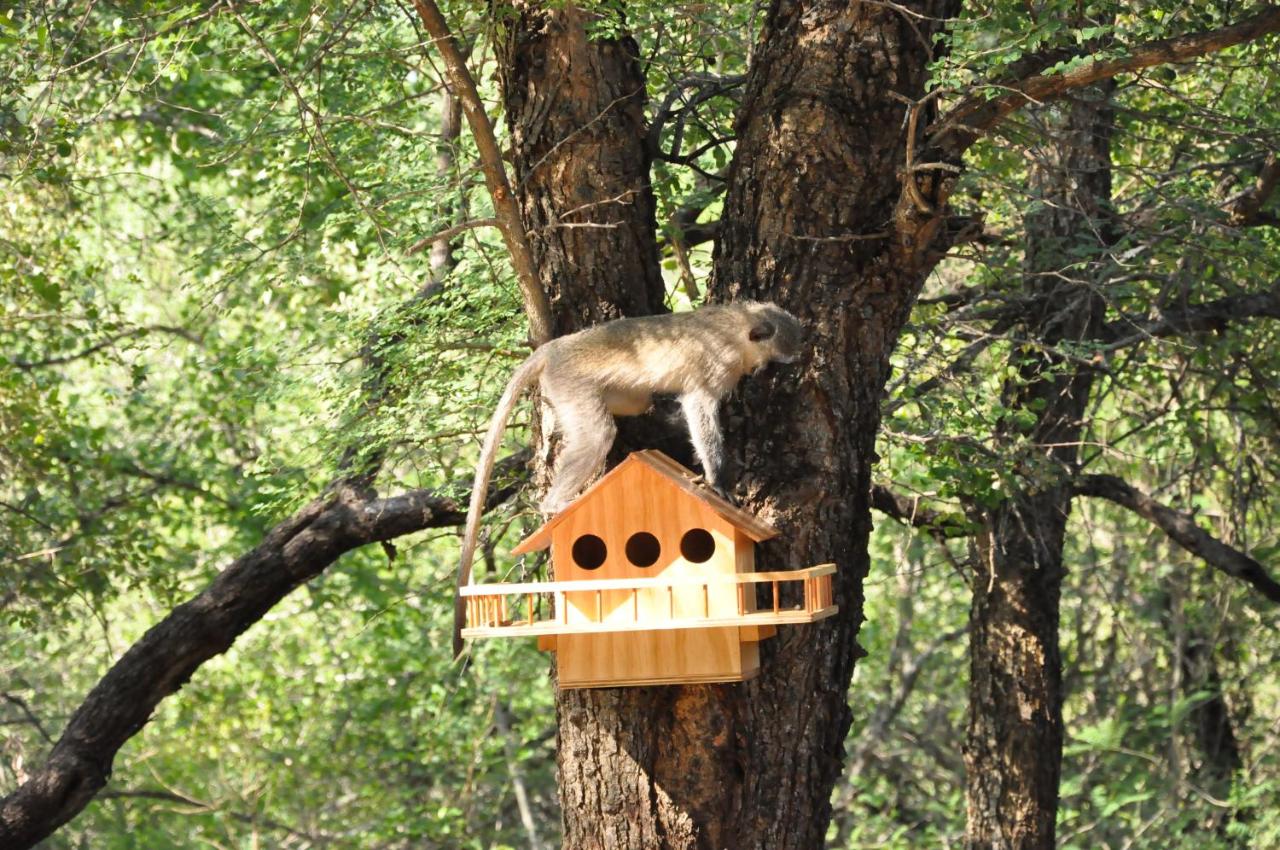 Treetops Marloth Park - Bed and Breakfast Marloth Park