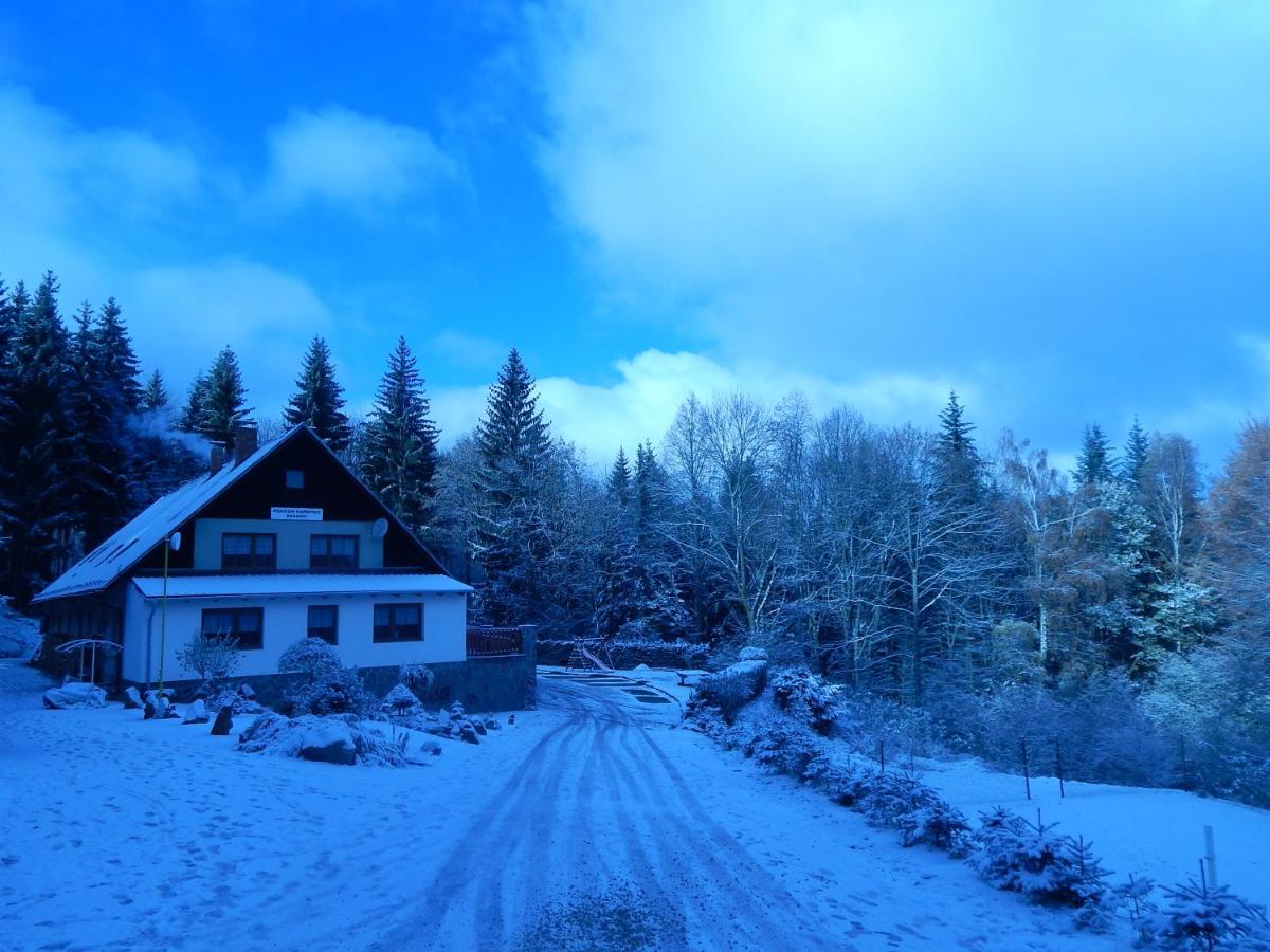 Wellness penzion Harmonie Rohanov - B&B