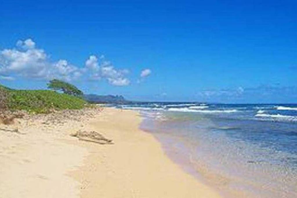 Kauai Beach Resort #3124 - Chambres d'hôtes Lihue