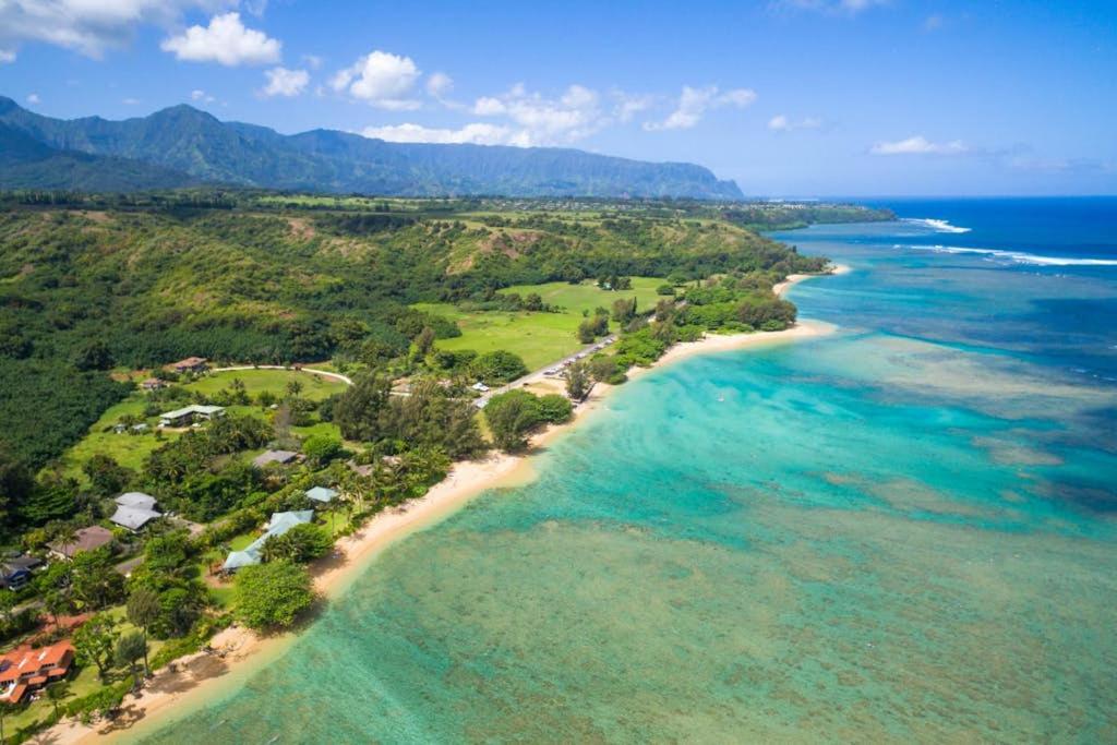 Anini Ohana Hale TVNC#4255 - Bed and Breakfast Kilauea