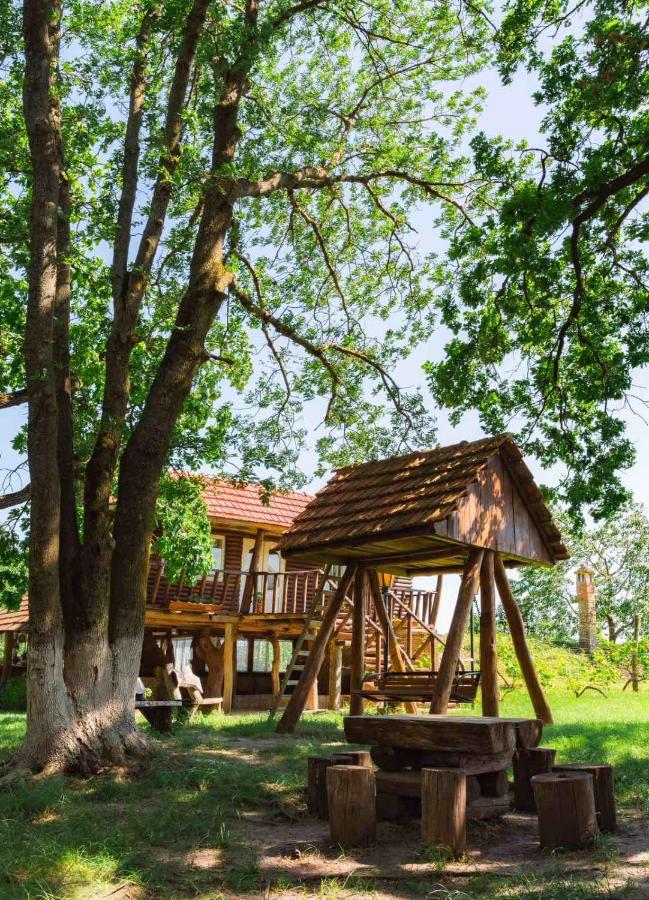 Crama Tudor - Bed and Breakfast Sadova