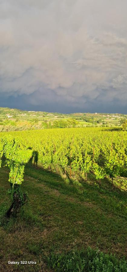 Appartamenti a Bardolino - Chambres d'hôtes Bardolino