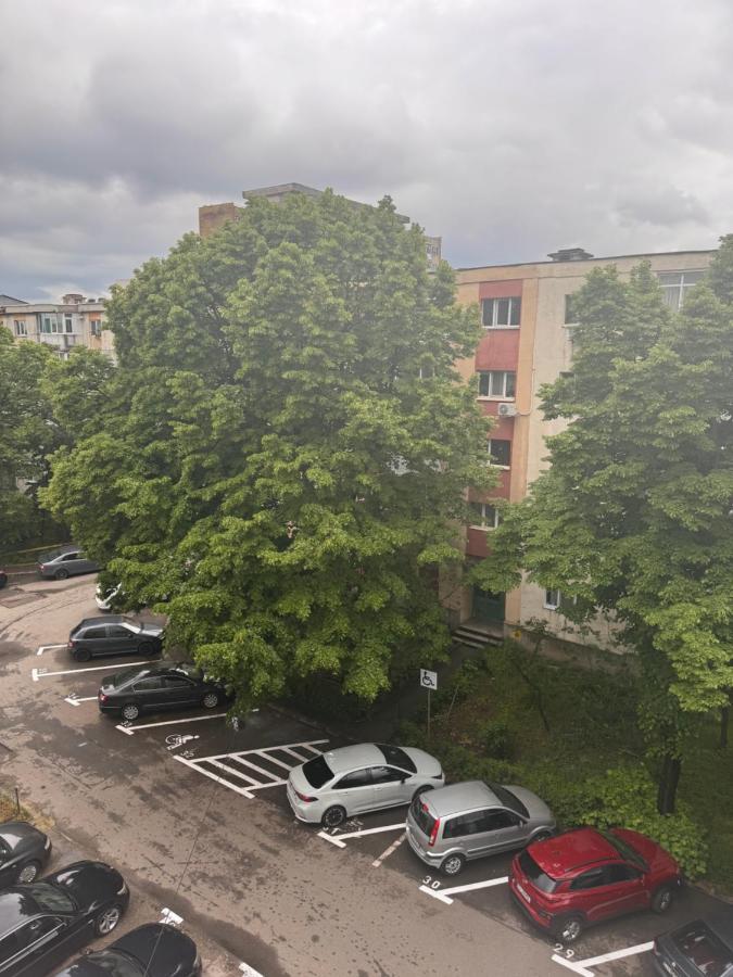 Studio Mirabela - B&B Craiova