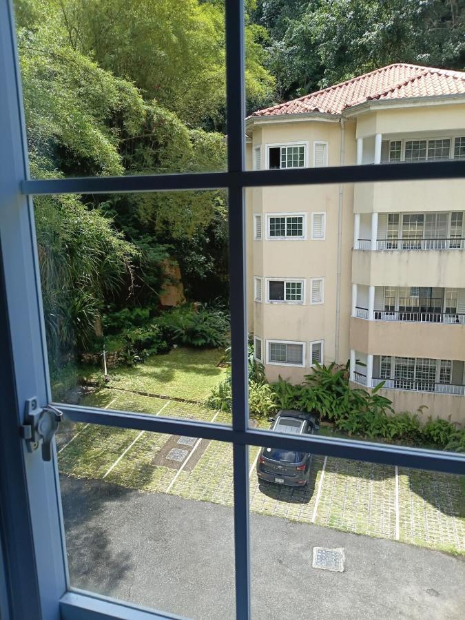 Gorgeous One Bedroom Apartment - B&B Kingston