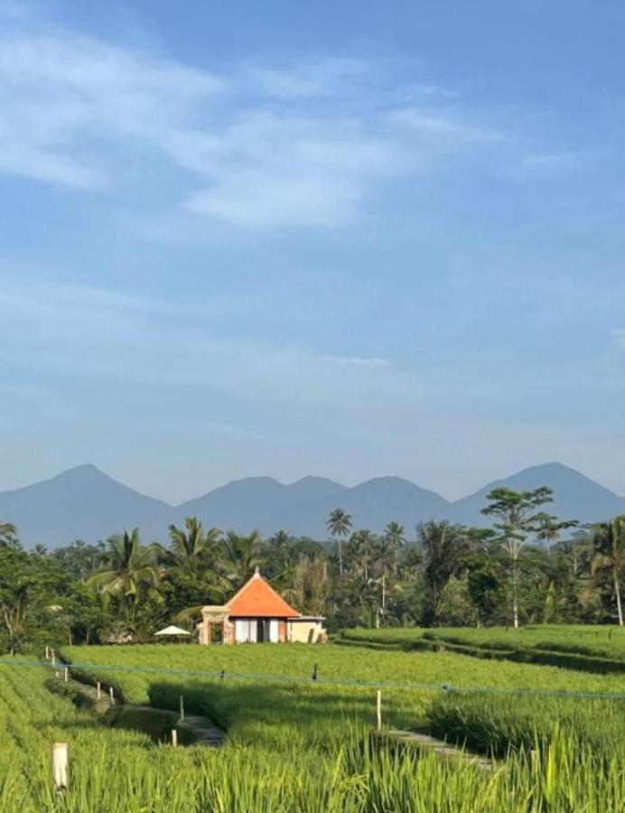 Pondok Dudu Harmony of Nature and Comfort - B&B Tampaksiring
