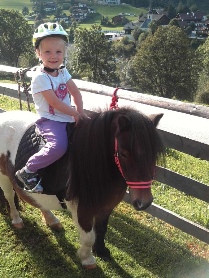 Baby- und Kinderbauernhof Montaning - Ferienwohnung Forstau