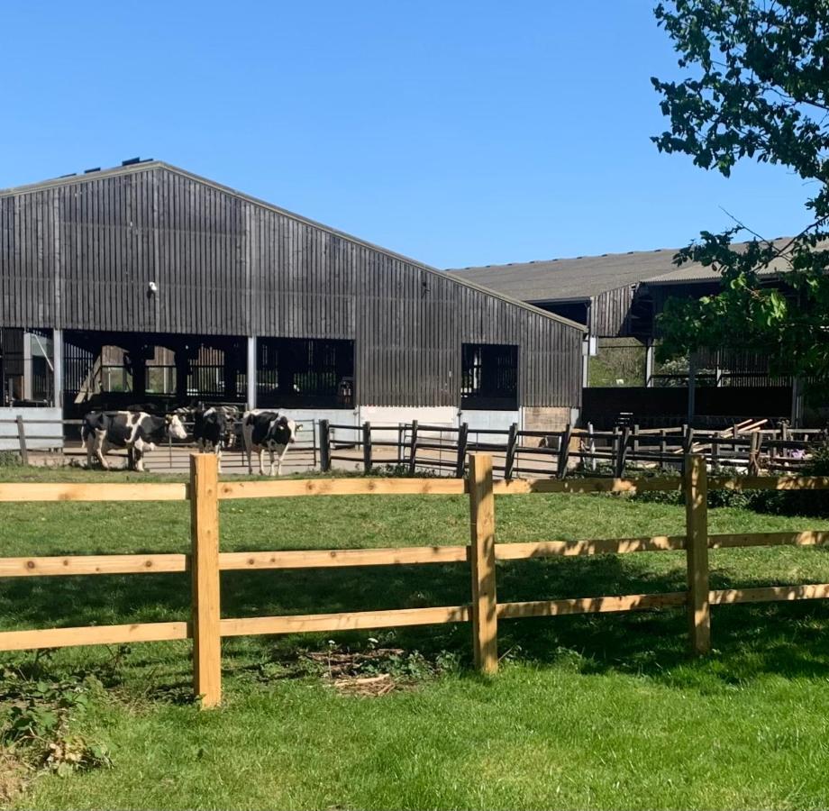 Farm stay - B&B Nettleton