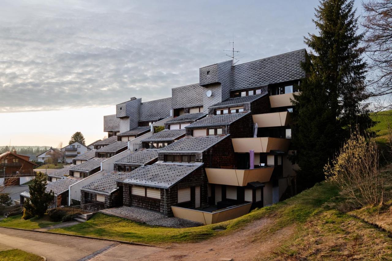 Große Schwarzwald-FeWo mit Naturblick in Neukirch - B&B Neukirch