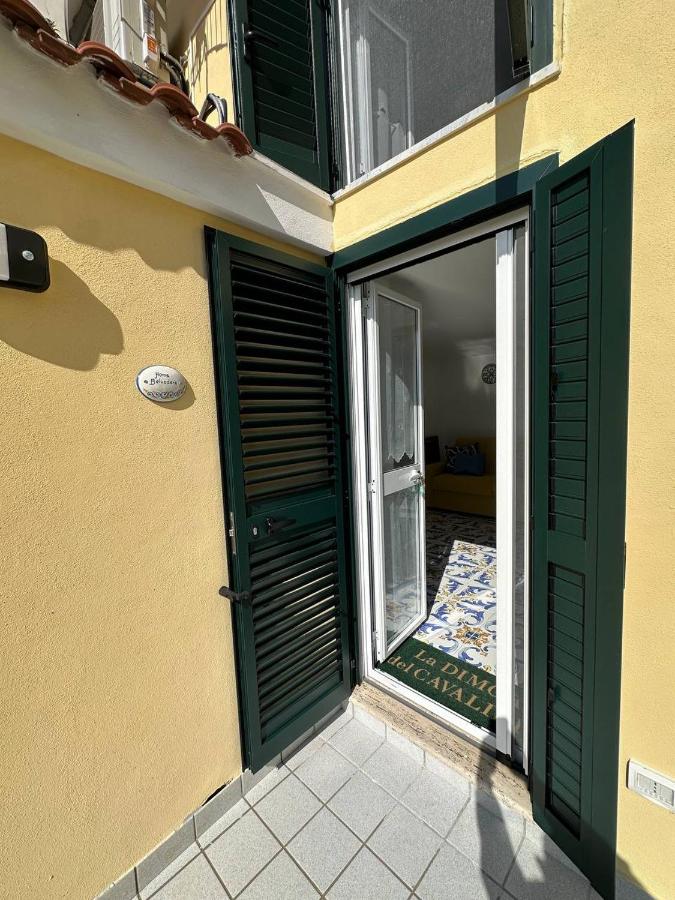 Appartamento con 1 Camera da Letto