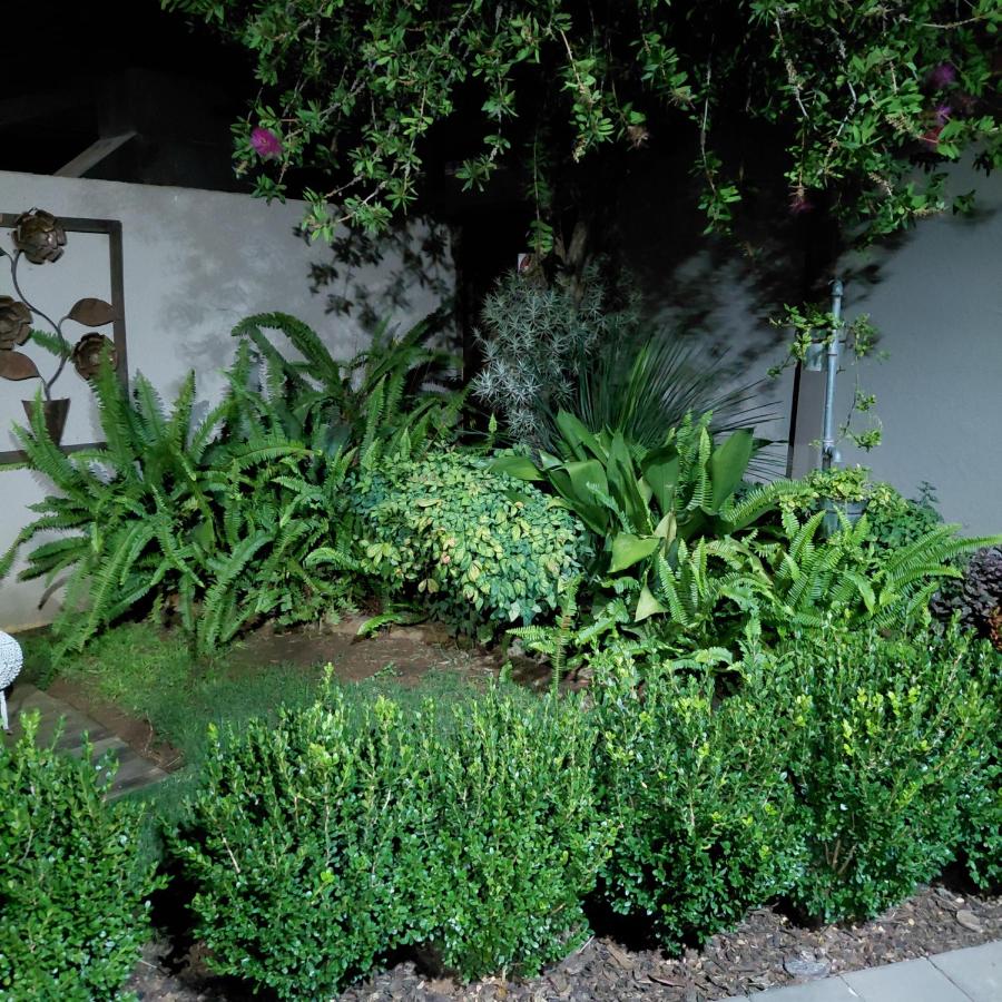 Vita Nova - B&B Bloemfontein