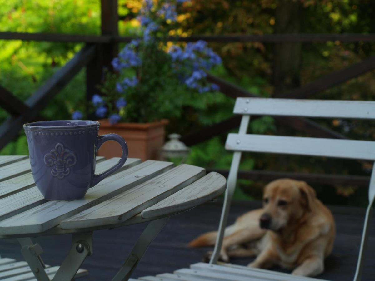Leśna 6 - House with a garden - Bed and Breakfast Bolechowice