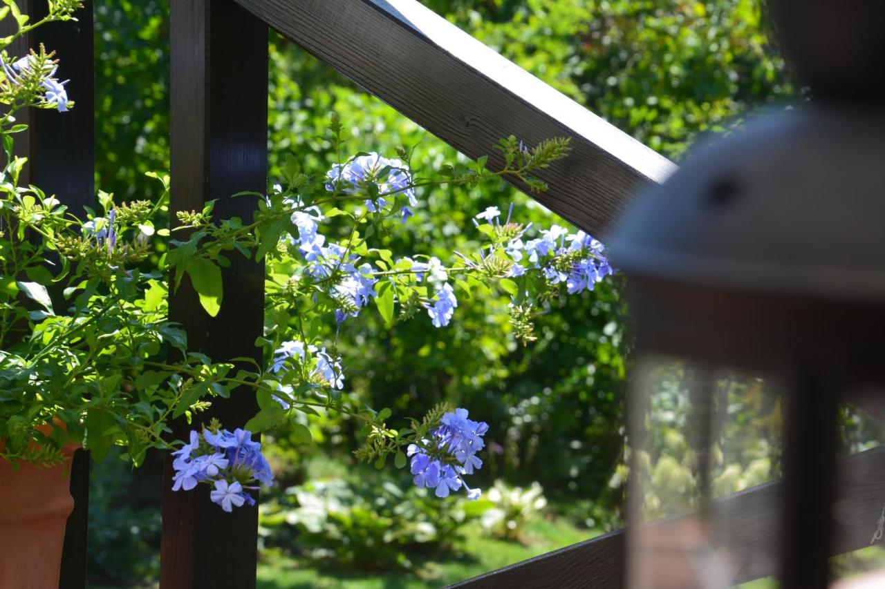 Leśna 6 - House with a garden - B&B Bolechowice