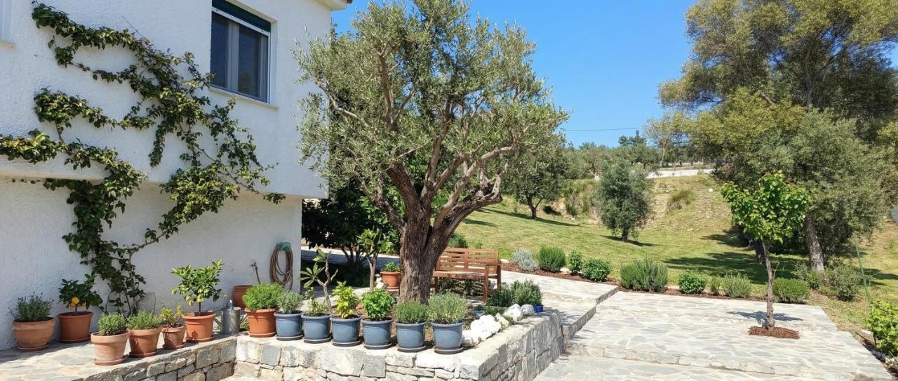 Villa Siesta gr - Ferienwohnung Palaió Tsiflíki