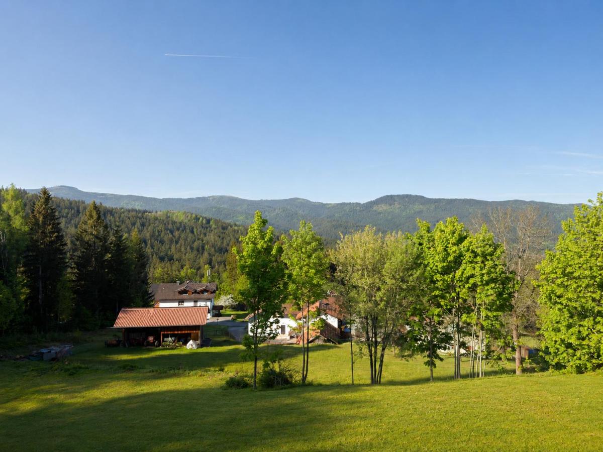 Gemütliches Apartment mit Bergblick im Bayerischen Wald Gratis Osserbad - Ferienwohnung Lohberg