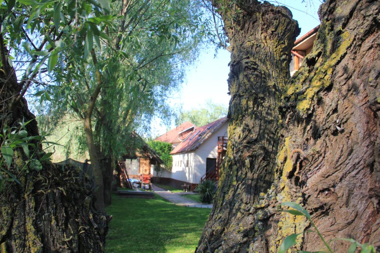 Pension Prodelta - Ferienwohnung Uzlina