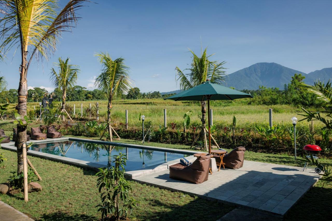 Tegal Wangi Penebel - B&B Penebel