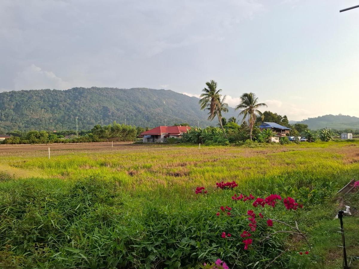 Nur Kasih Homestay 1-Gunung Jerai - B&B Guar Chempedak