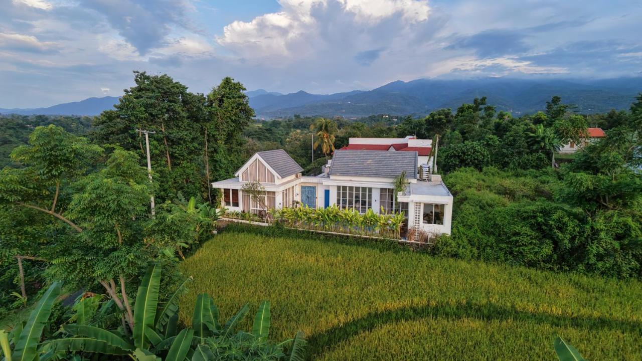 Brand New ! Villa Bella Lovina - Private Pool - Rice Field View - B&B Panji