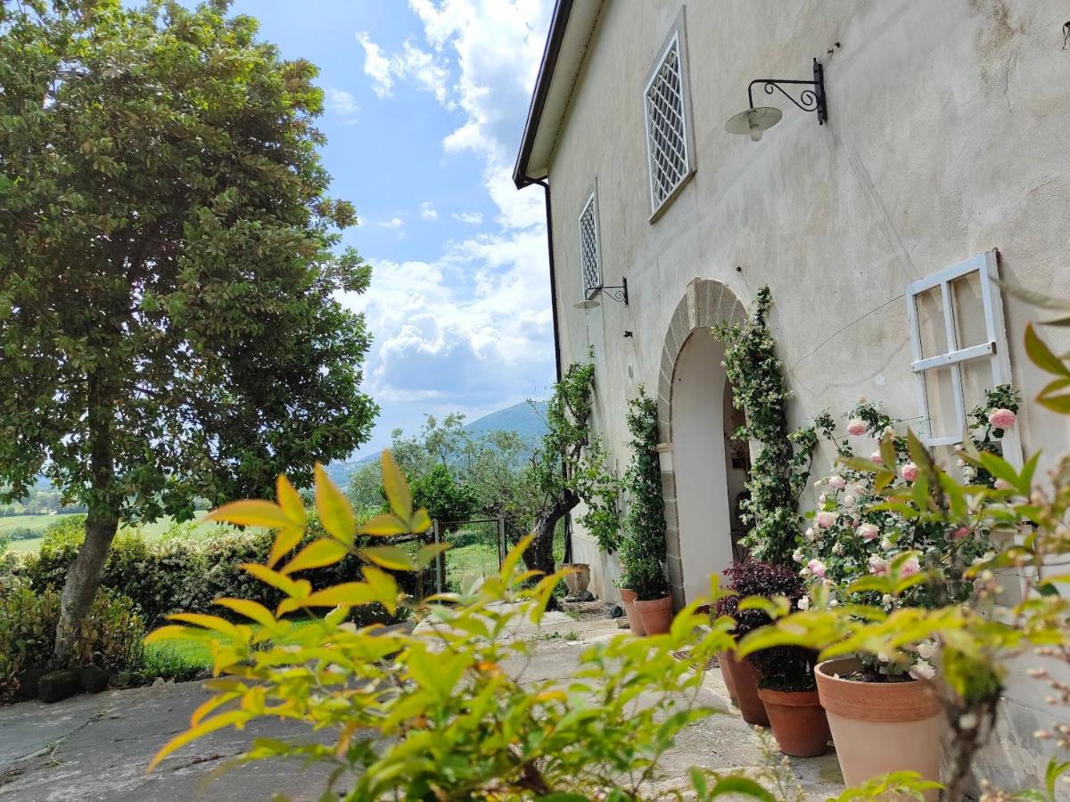 Le Piracante - B&B Caiazzo