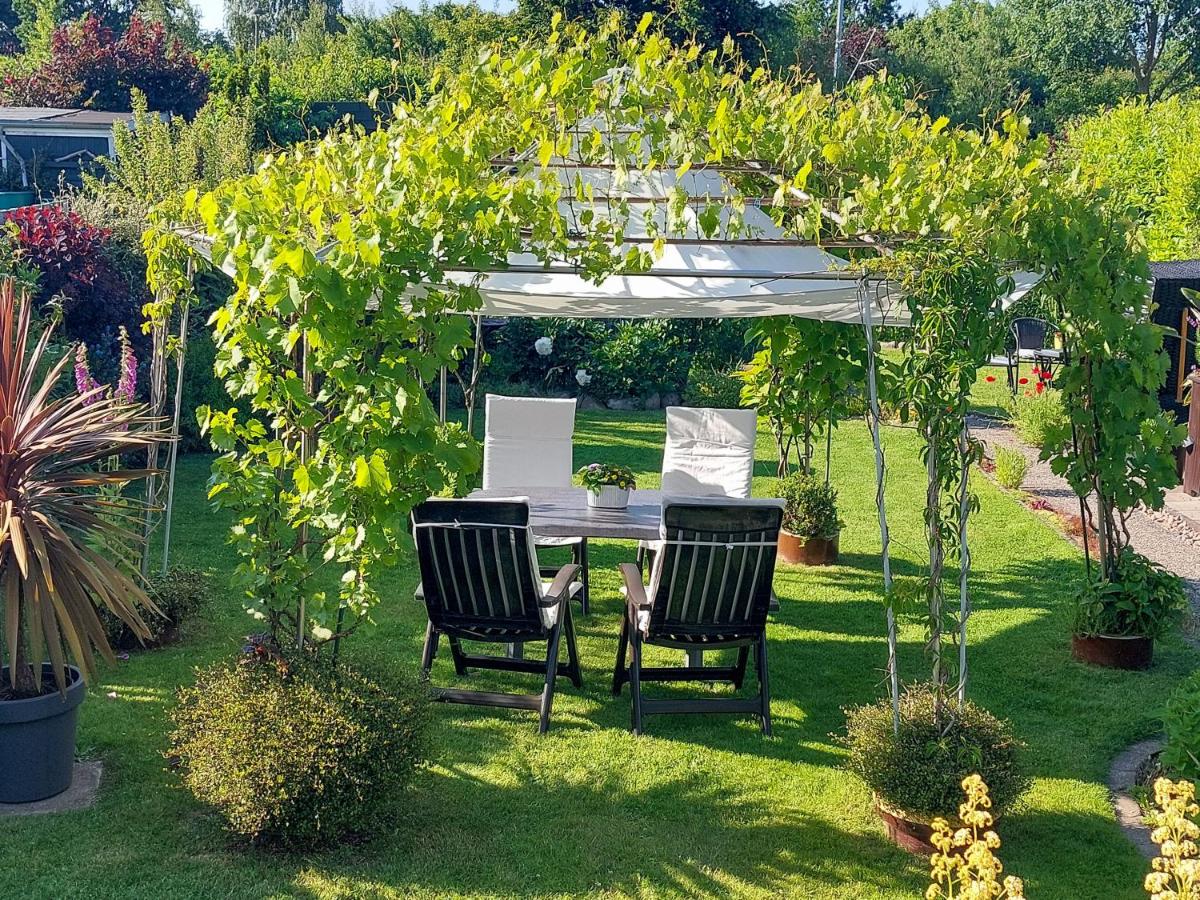 Ferienwohnung Gänseblümchen - Bed and Breakfast Ribnitz-Damgarten