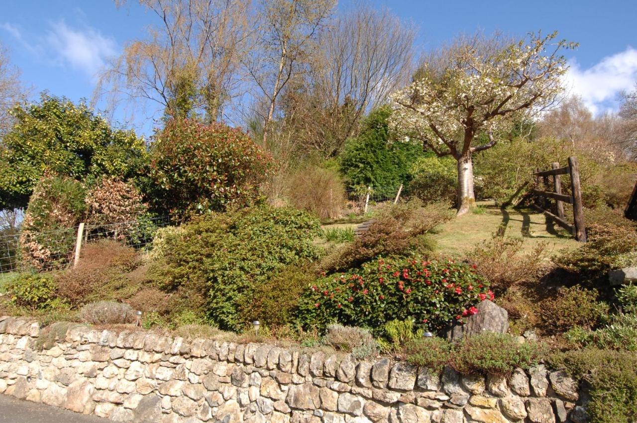 Dwy Olwyn - Bed and Breakfast