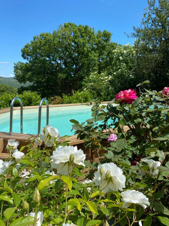 Casa di Carma 10 Guest Home with Pool - B&B Piegaro