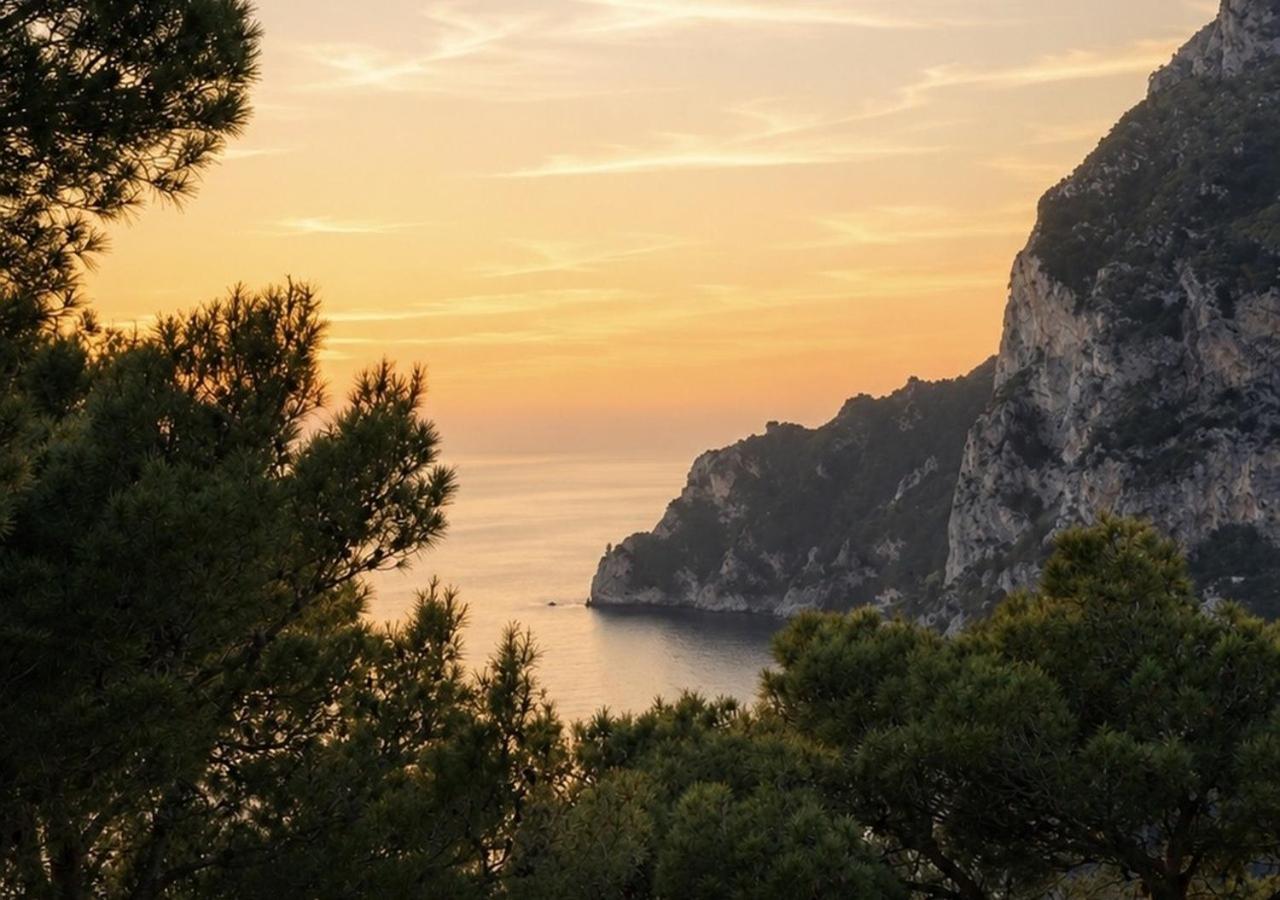 Villa Grazia - B&B Capri city