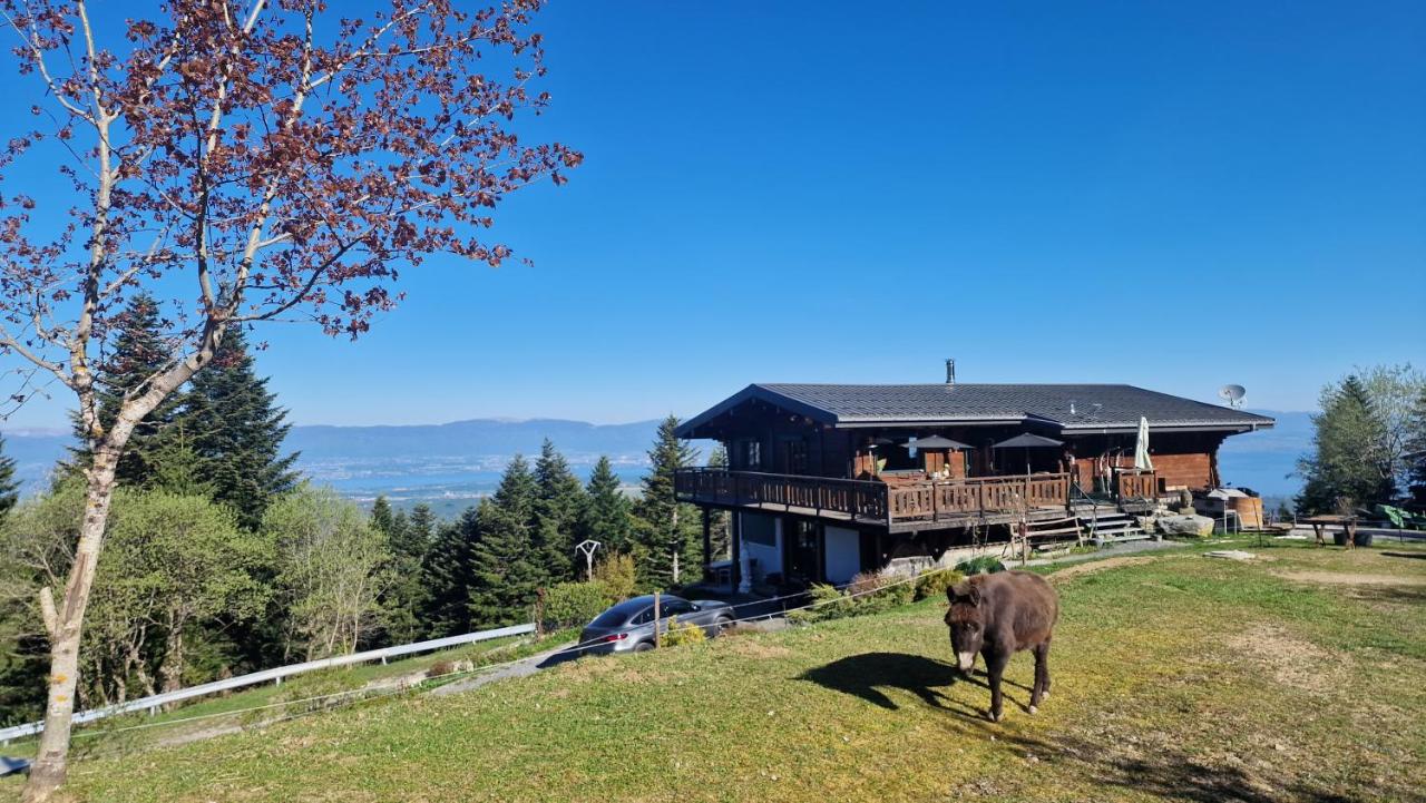 Appartement Les Montagnes de Saxel - Chambres d'hôtes Saxel