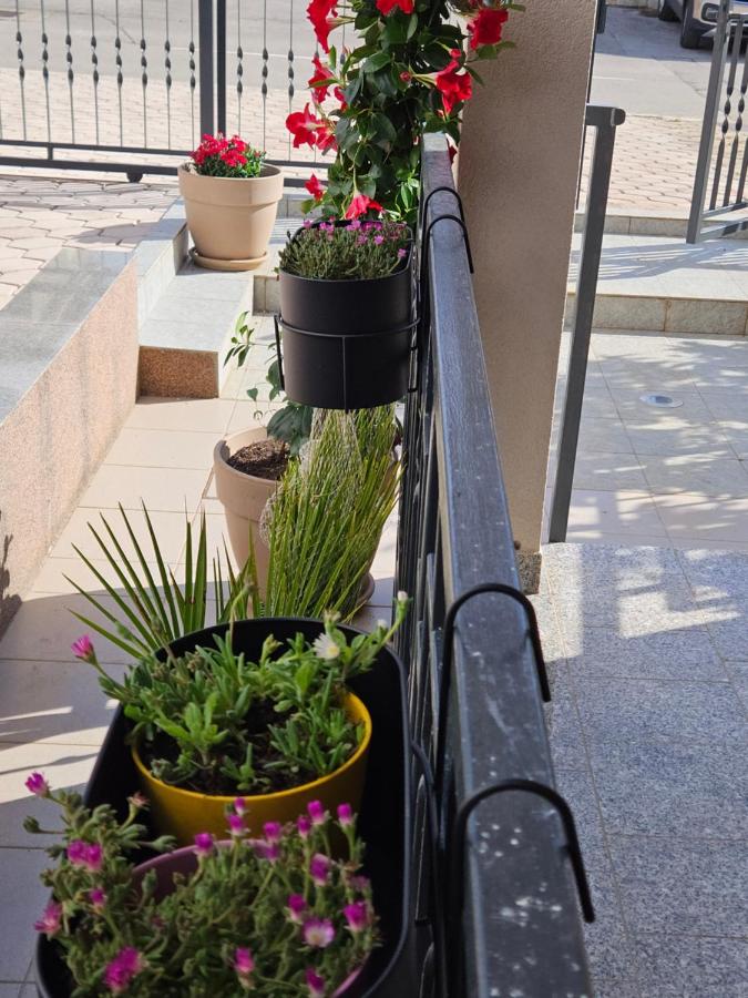 Apartment Dora Porec - B&B Parenzo