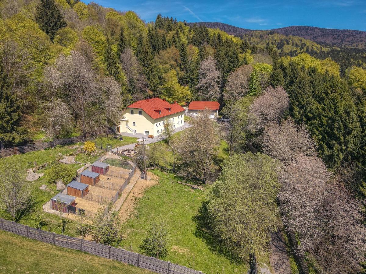 Ferienwohnung Huskyhausen - Schlittenhunde Erlebnisse & Urlaub mitten in der Natur! - Chambres d'hôtes Klaffer am Hochficht