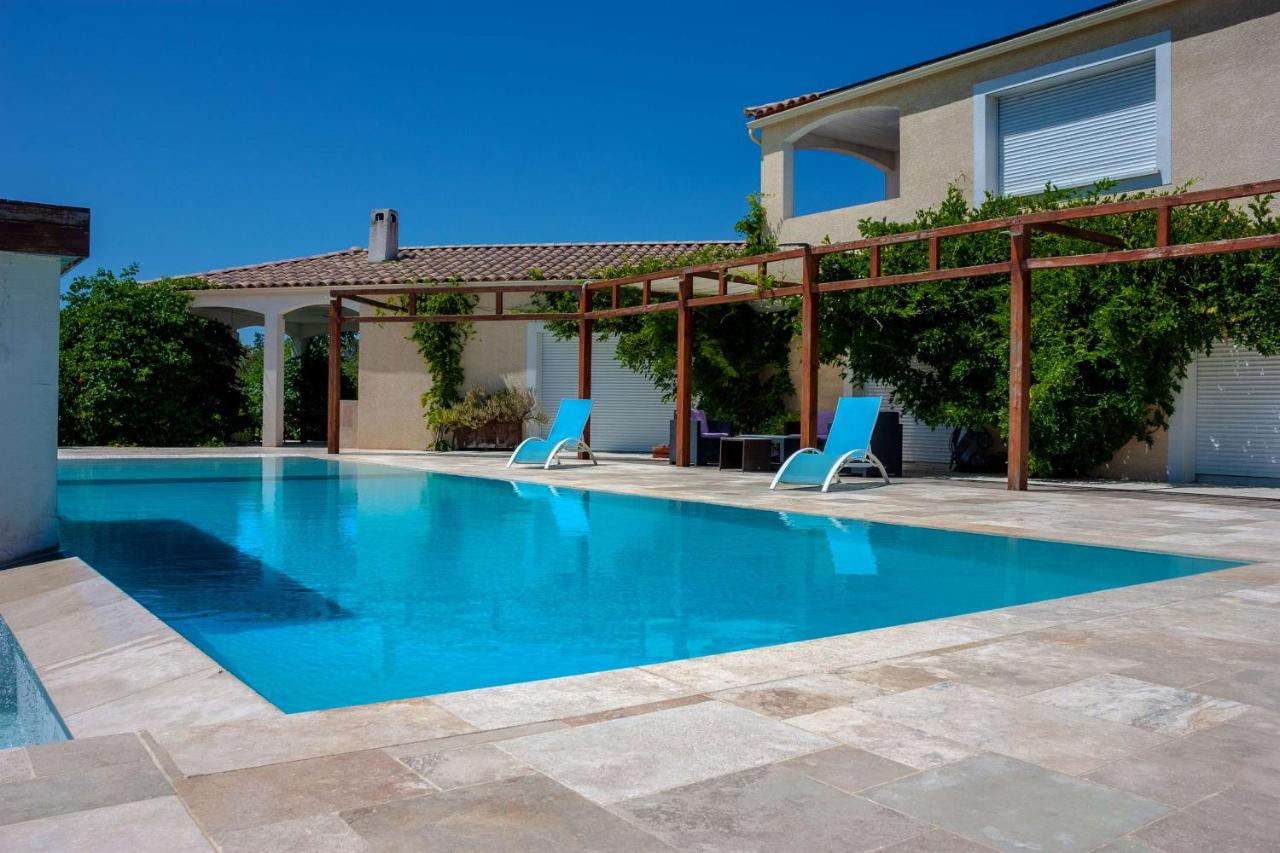 Domaine Des Lucques B&B with Private Infinity Pool & Grand Olive Grove - B&B Bize-Minervois