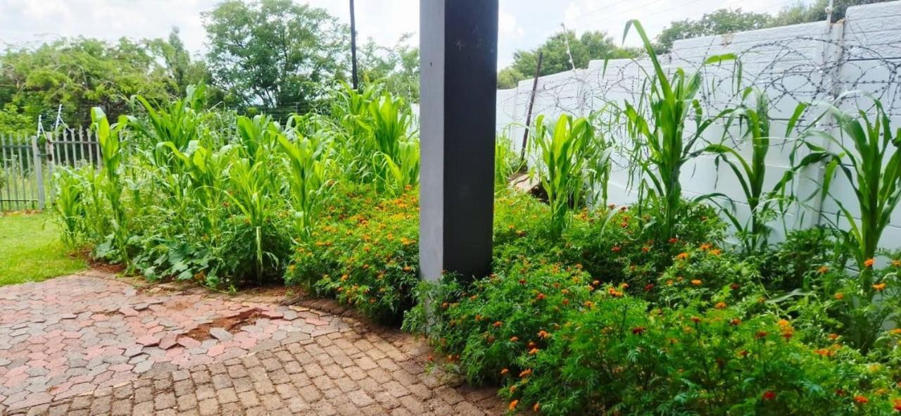 The cozy 1 bedroom apartment - Chambres d'hôtes Roodepoort