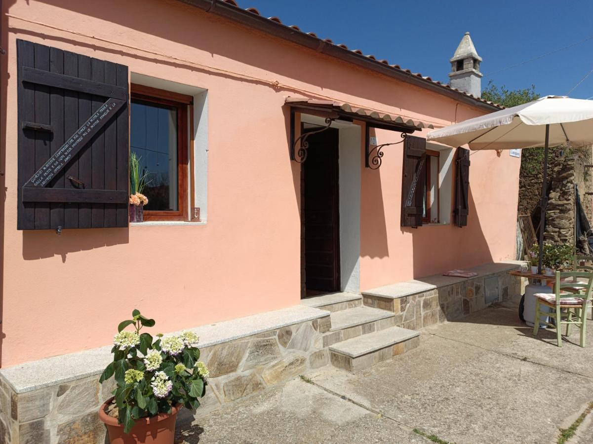 Casa di Zampetta - Chambres d'hôtes Agrustos