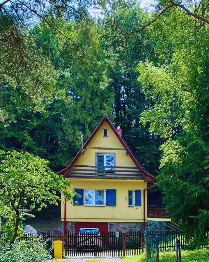 Domek w lesie - Ferienwohnung Gołubie