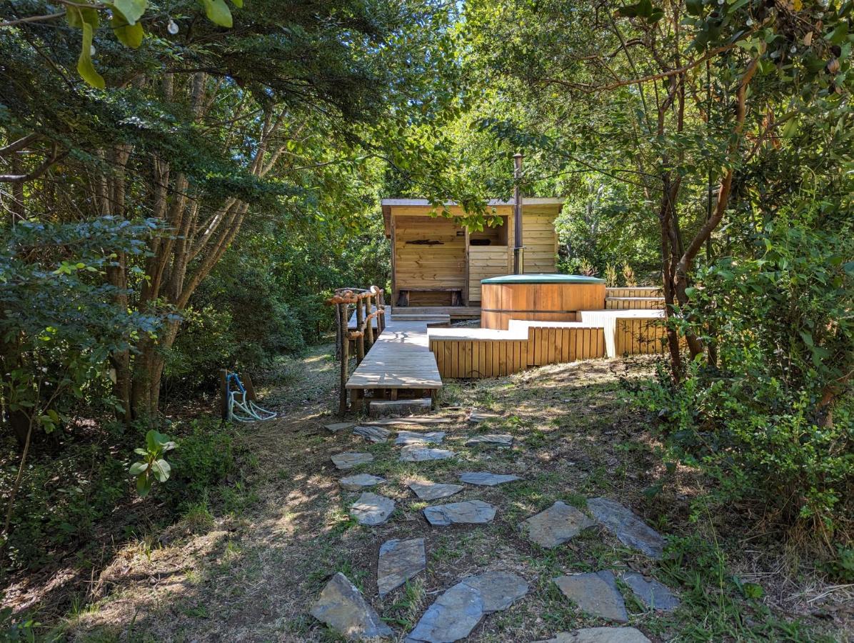 Complejo Kari Mapu Park - B&B Pucón