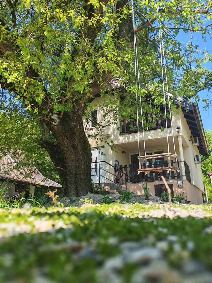 Dudov Hlad - B&B Batina