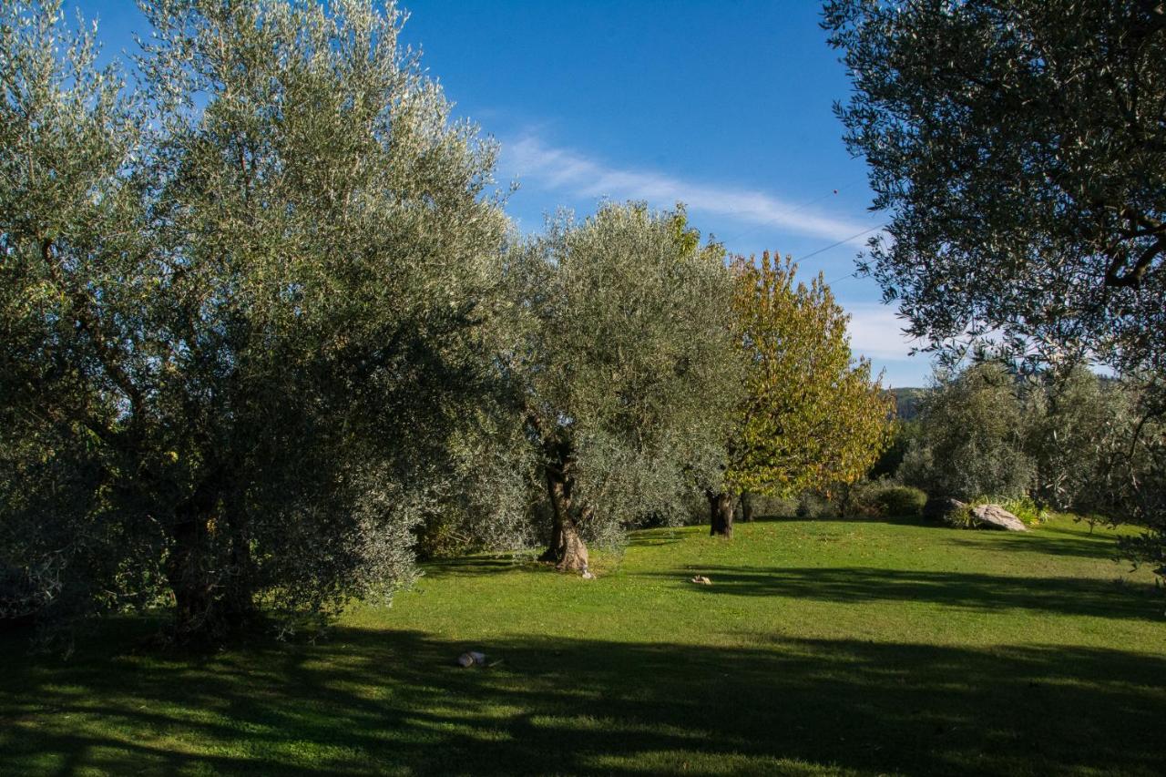 La Sassaia - B&B Carmignano