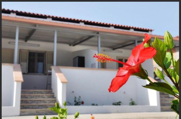 Casa Vacanze