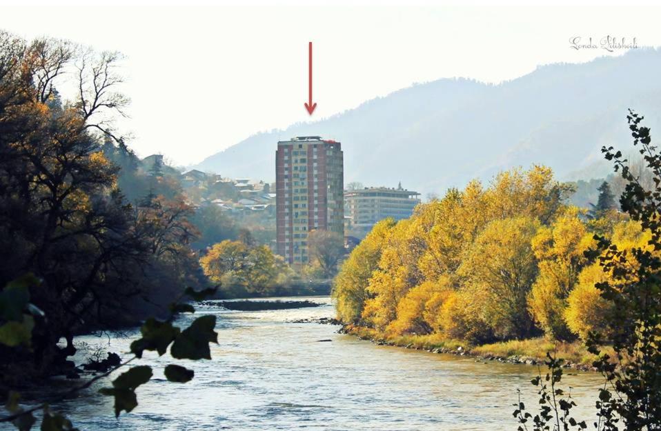 Guest House Borjomi - B&B Borjomi