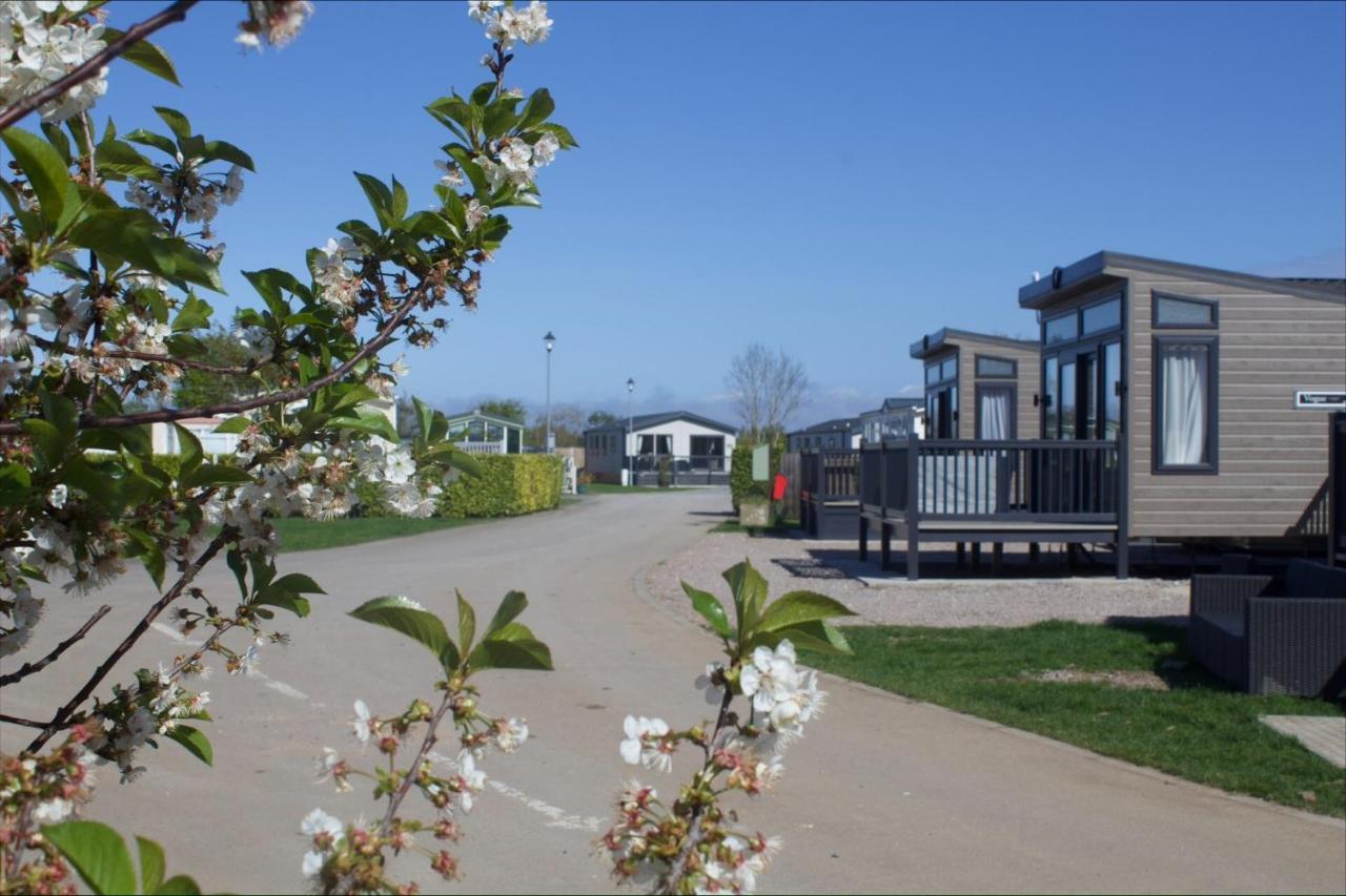 Etna Laurel - B&B Skegness