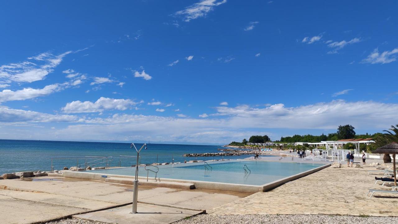 Apartma Mareda - Novigrad - B&B Mareda