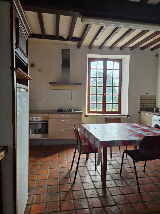 Apartment - Erdgeschoss
