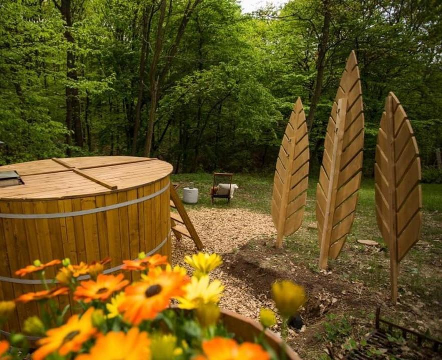 AvarLak, faház erdei wellnessel - Chambres d'hôtes Szurdokpüspöki
