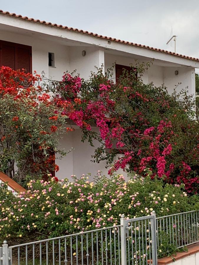 Azzurro mare - B&B San Giovanni