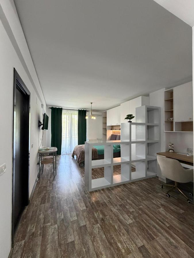 Apartament 1 cameră - Bed and Breakfast Timişoara