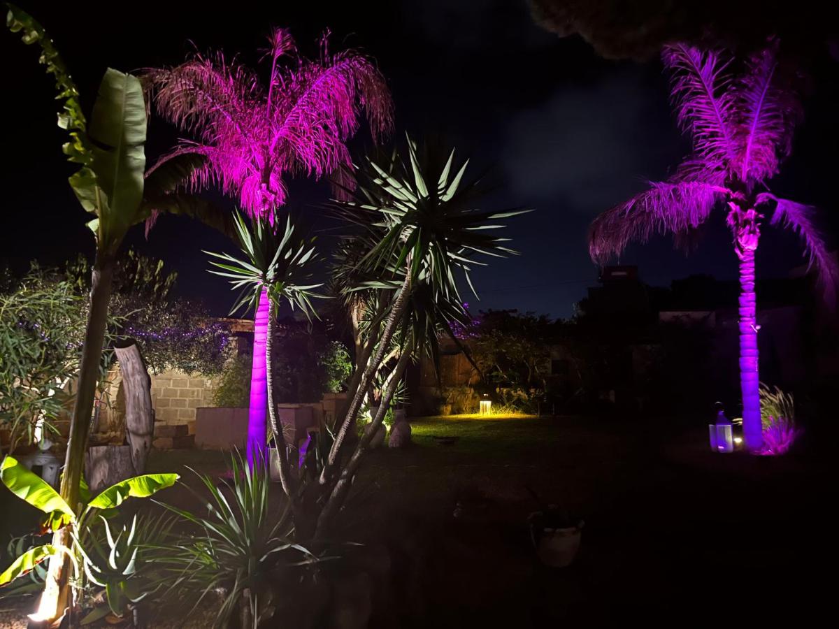 Dimora Tammaro - B&B Favignana